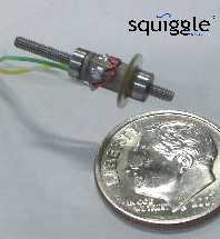 A squiggle motor