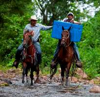 Campesinos deliver rotavirus vaccine