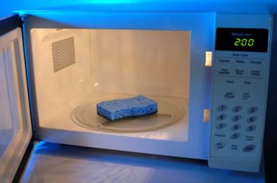 sponge in microwave oven