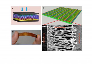 Fabrication of the nanowire and nanogenerator array