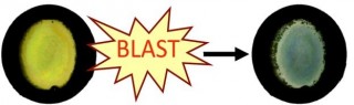Colour change caused by a blast