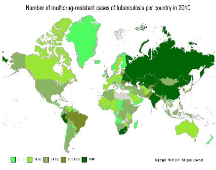 World map showing the number of multi-drug resistant cases of TB per country in 2010