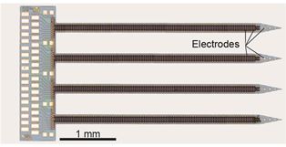 Example of a neural probe with 752 microelectrodes distributed 
on four-millimeter-long shafts