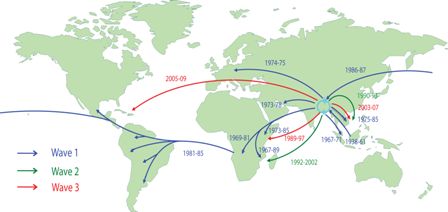 Transmission events inferred for the seventh cholera pandemic phylogenetic tree drawn on a global map